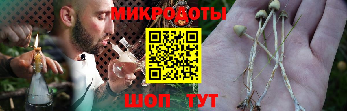 Галлюциногенные грибы ЛСД  Псилоцибиновые грибы Psilocybine cubensis  Мирный  Вход с VPN 
